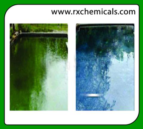 Algaecide