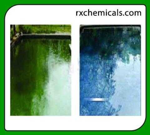 All In One Algaecide