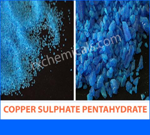 Cupric Sulphate Pentahydrate