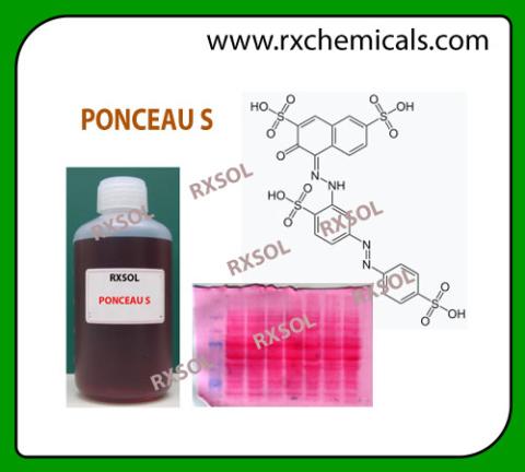 PONCEAU S