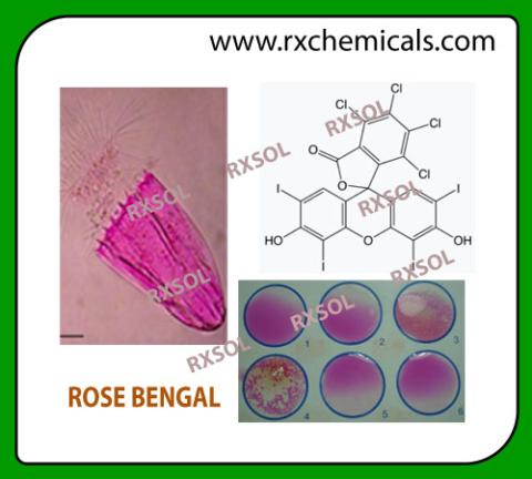ROSE BENGAL