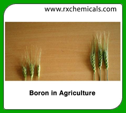 Boron