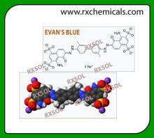 EVAN'S BLUE