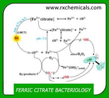 FERRIC CITRATE For Bacteriology